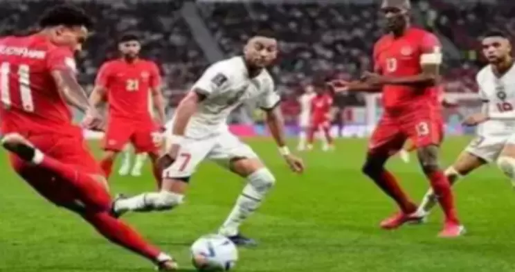 卡塔尔VS瑞士直播_卡塔尔VS瑞士免费体育直播高清_卡塔尔VS瑞士在线观看高清体育直播-24直播